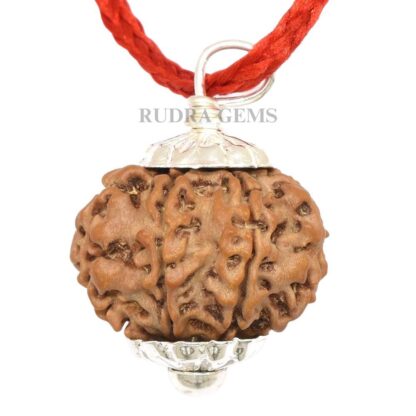 8-Mukhi-Rudraksha-Nepal-Silver-Pendant