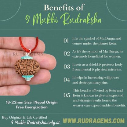 9-Mukhi-Rudraksha-Nepal-Benefits