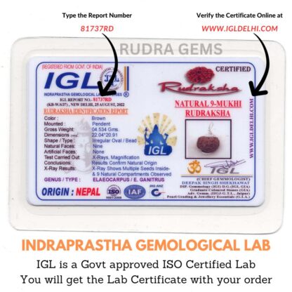 9-Mukhi-Rudraksha-Nepal-Lab-Certificate