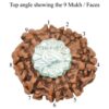 9-Mukhi-Rudraksha-Nepal-Silver-Pendant-Top