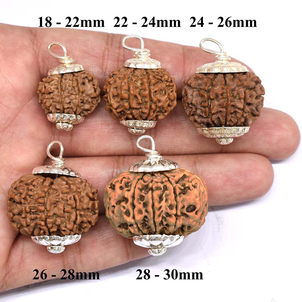 9-Mukhi-Rudraksha-Nepal-Size-Comparison-Hand