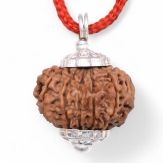 12-Mukhi-Rudraksha-Nepal-Silver-Pendant
