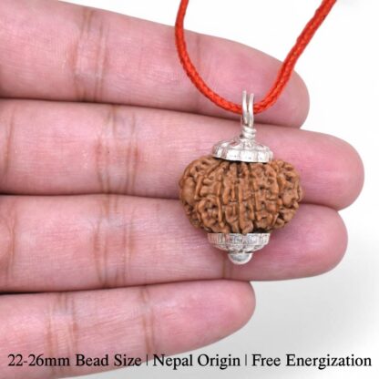 12-Mukhi-Rudraksha-Nepal-Silver-Pendant-Hand