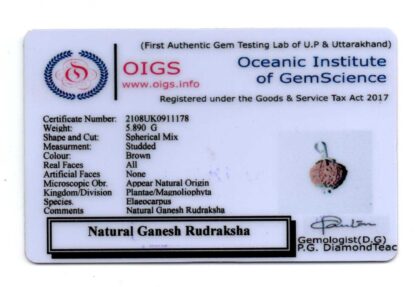 Ganesha-Rudraksha-Nepal-Pendant-Certificate