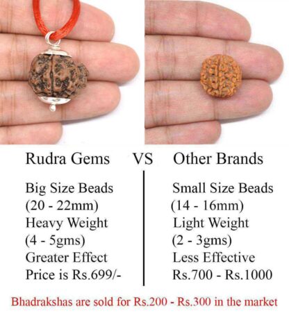 Ganesha-Rudraksha-Nepal-Pendant-Comparison