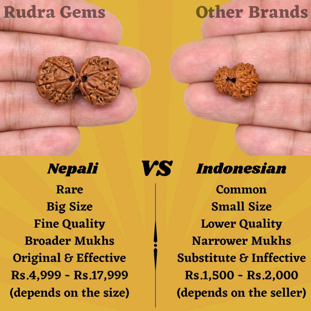 Gauri Shankar Rudraksha Java