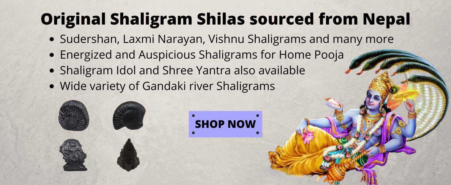 Rudra-Gems-Shaligram
