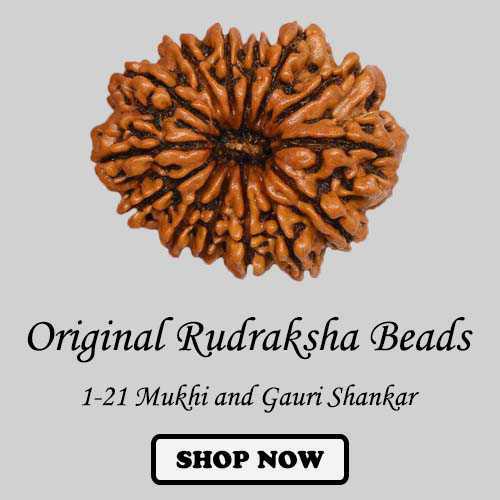 Rudraksha Beads