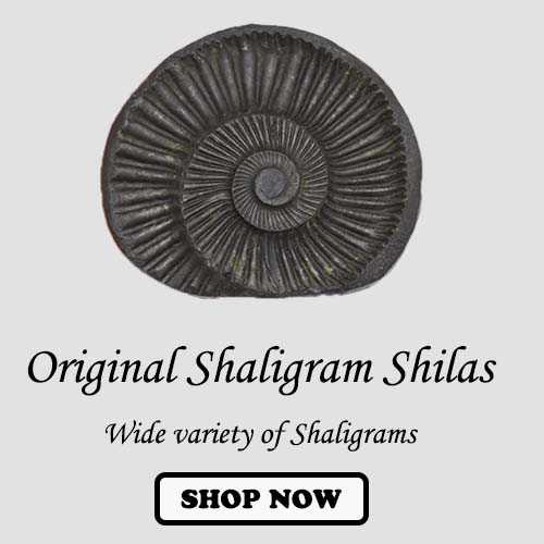Shaligram Shilas