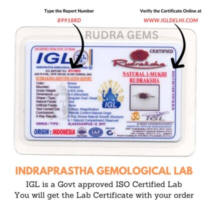 1-Mukhi-Rudraksha-Indonesian-Lab-Certificate