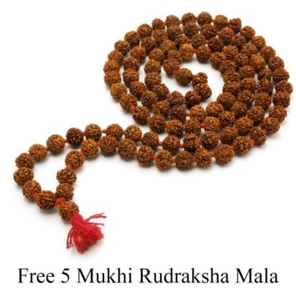 1-Mukhi-Rudraksha-Indonesian-Pendant-Mala