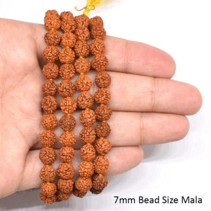 5-Mukhi-Rudraksha-Mala-Hand