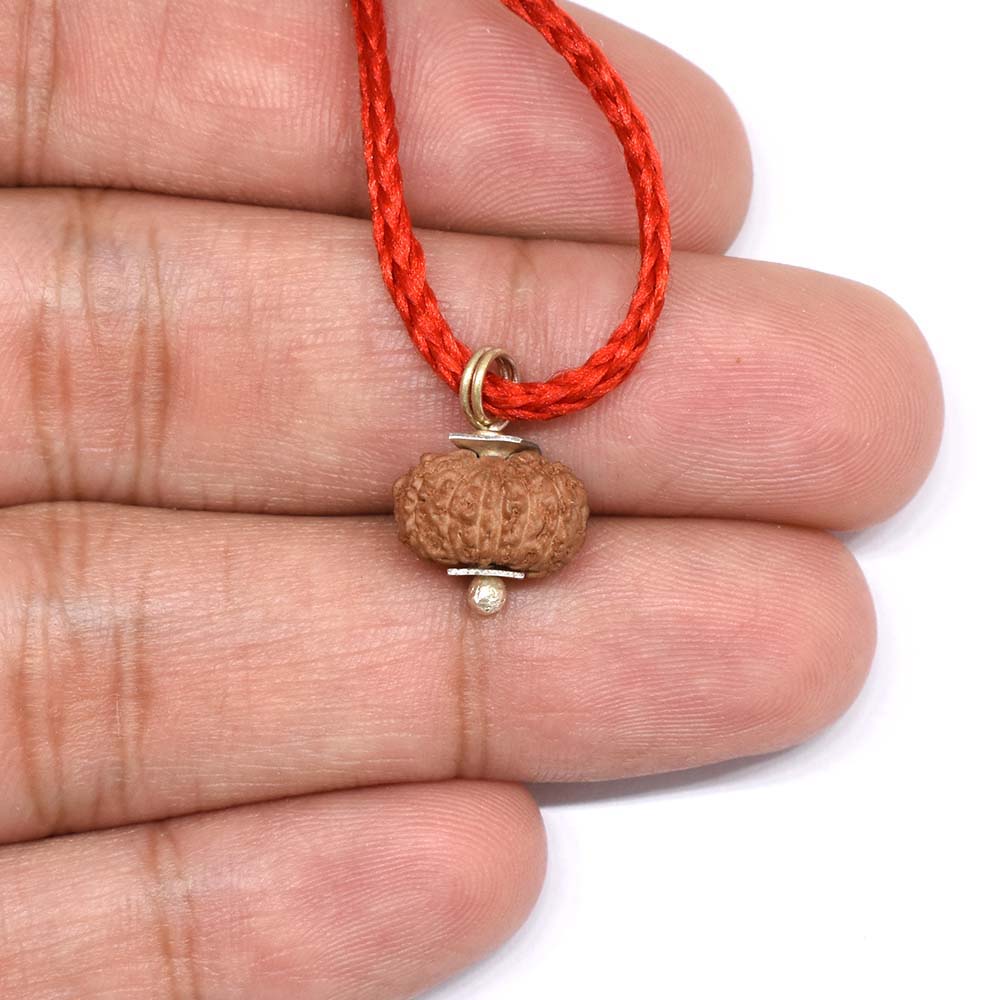 14-Mukhi-Rudraksha-Indonesian-Pendant-Hand