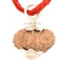 15-Mukhi-Rudraksha-Indonesia-Pendant