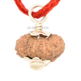 15-Mukhi-Rudraksha-Indonesia-Pendant