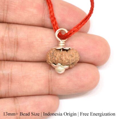 15-Mukhi-Rudraksha-Indonesia-Pendant-Hand