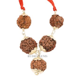 3,4,5,6,7-Mukhi-Rudraksha-Pendant