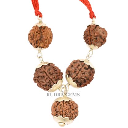 3,4,5,6,7-Mukhi-Rudraksha-Pendant