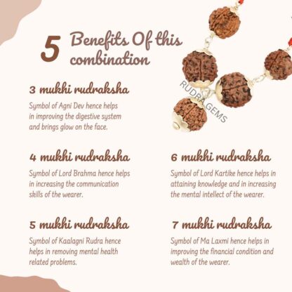 3,4,5,6,7 Mukhi Rudraksha benefits - 1