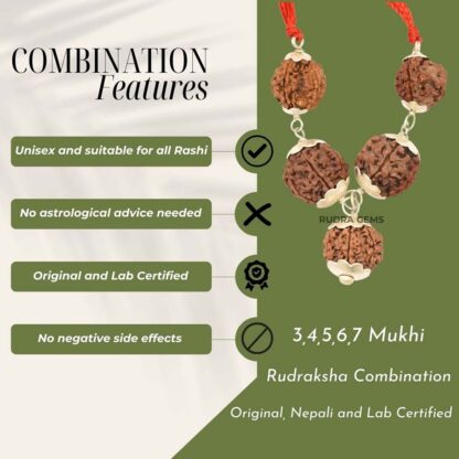 3,4,5,6,7 Mukhi Rudraksha Features