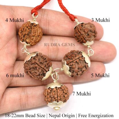 3,4,5,6,7-Mukhi-Rudraksha-Pendant-Hand