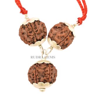 4,5,6-Mukhi-Rudraksha-Pendant