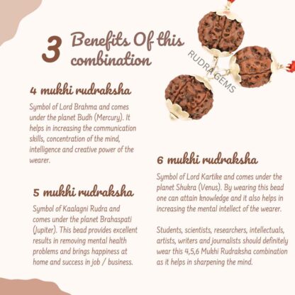 4,5,6 Mukhi Rudraksha Benefits