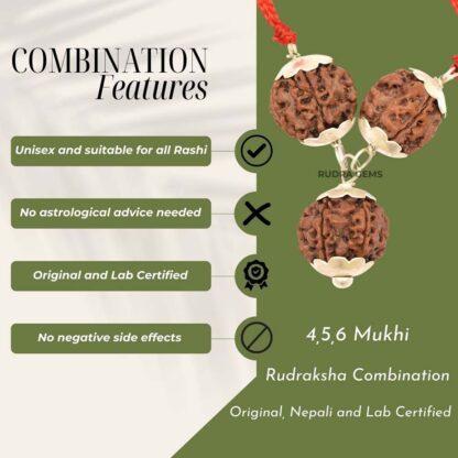 4,5,6 Mukhi Rudraksha Features