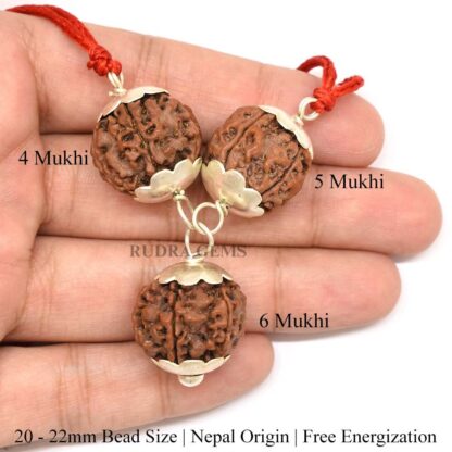 4,5,6-Mukhi-Rudraksha-Pendant-Hand