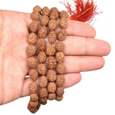 4-Mukhi-Rudraksha-Indonesian-Mala