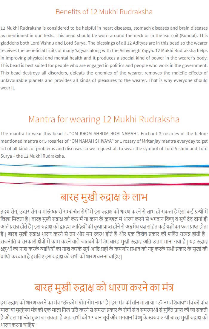 12-Mukhi-Rudraksha-Nepal-Pendant-Benefits