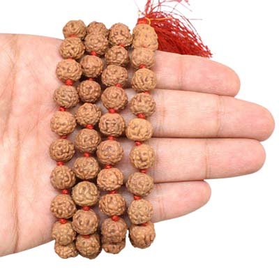 6-Mukhi-Rudraksha-Indonesian-Mala