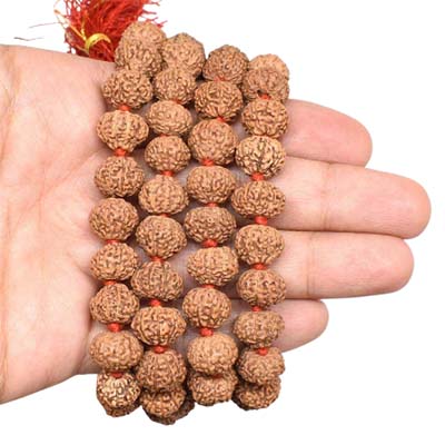 7-Mukhi-Rudraksha-Indonesian-Mala