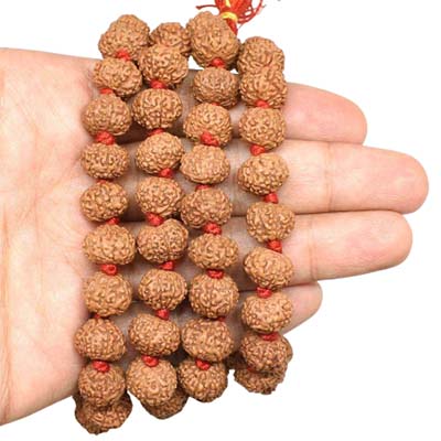 8-Mukhi-Rudraksha-Indonesian-Mala