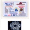 9-Mukhi-Rudraksha-Nepal-Collector-3-Certificate