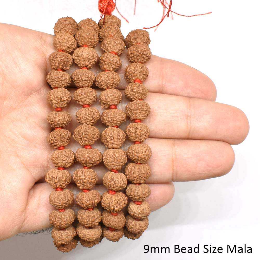 11-Mukhi-Rudraksha-Mala-Hand