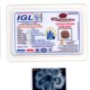 8-Mukhi-Rudraksha-Nepal-Collector-10-Certificate