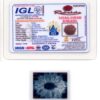 13-Mukhi-Rudraksha-Nepal-Collector-5-Certificate