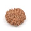 15-Mukhi-Rudraksha-Nepal-3-Back