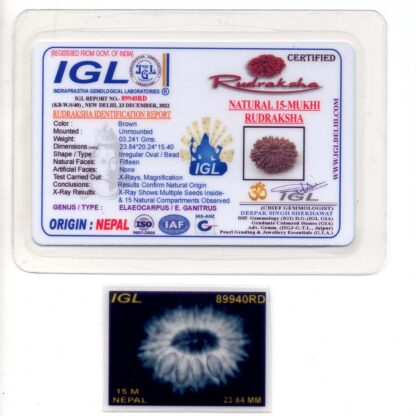 15-Mukhi-Rudraksha-Nepal-3-Certificate