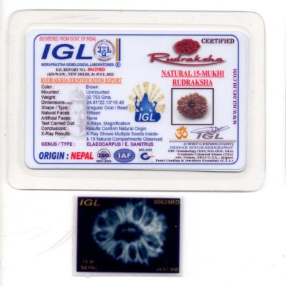 15-Mukhi-Rudraksha-Nepal-5-Certificate