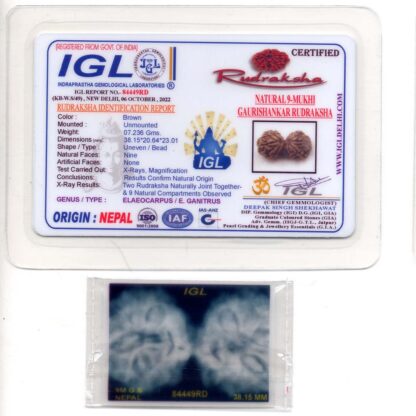 Gauri-Shankar-Rudraksha-Nepal-10-Certificate