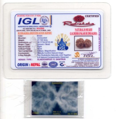 Gauri-Shankar-Rudraksha-Nepal-17-Certficate