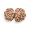 Gauri-Shankar-Rudraksha-Nepal-2