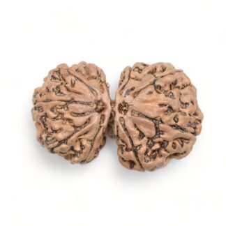 Gauri-Shankar-Rudraksha-Nepal-2