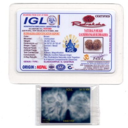 Gauri-Shankar-Rudraksha-Nepal-2-Certificate