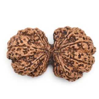 Gauri-Shankar-Rudraksha-Nepal-20