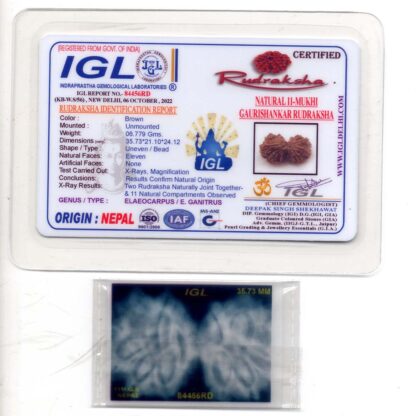 Gauri-Shankar-Rudraksha-Nepal-3-Certificate