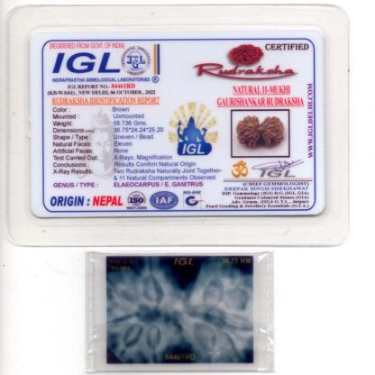 Gauri-Shankar-Rudraksha-Nepal-5-Certificate