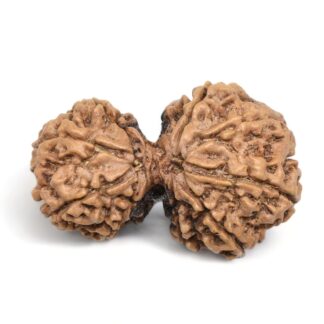 Gauri-Shankar-Rudraksha-Nepal-7